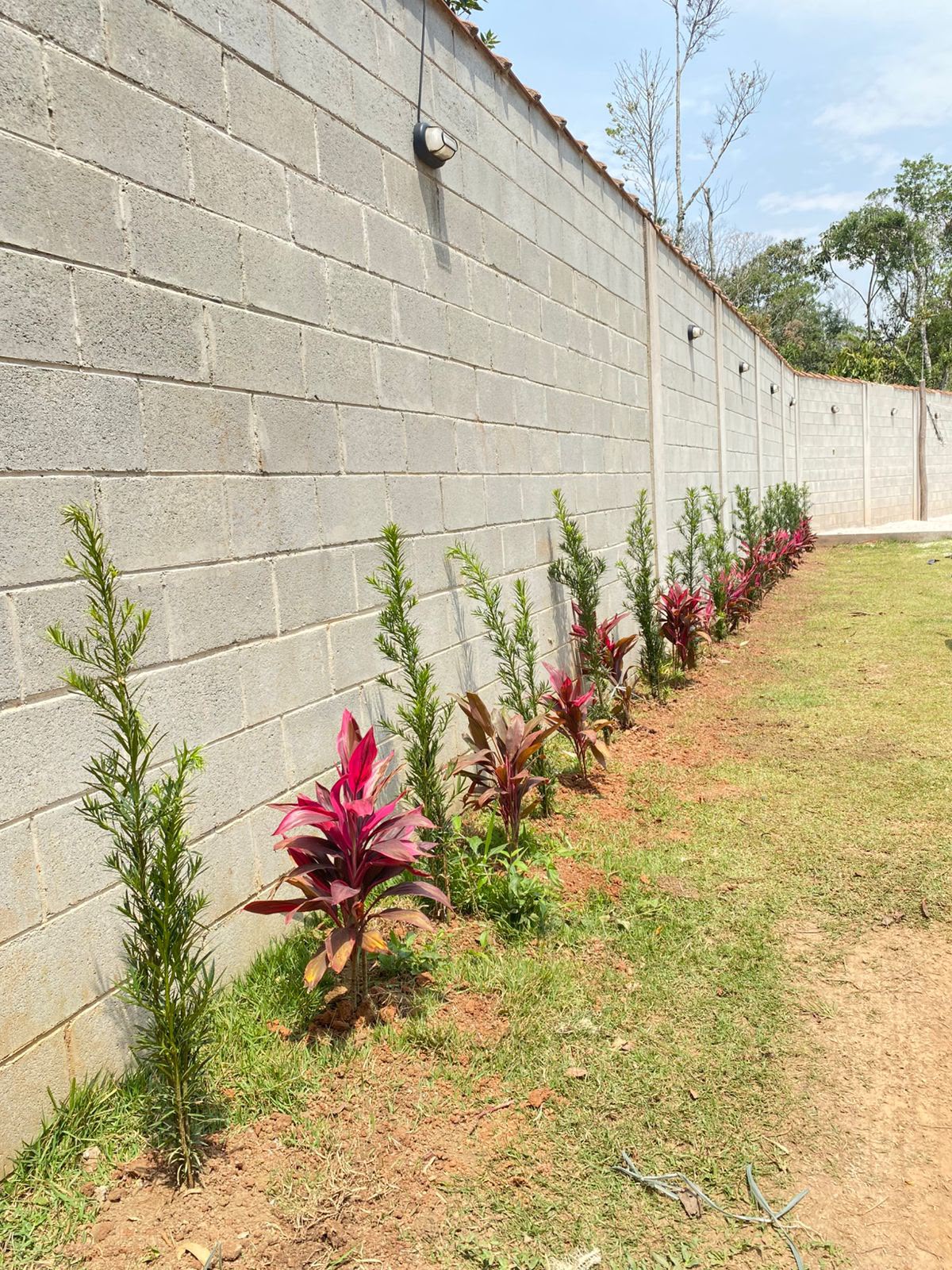Depois — Plantio e paisagismo ao longo do muro