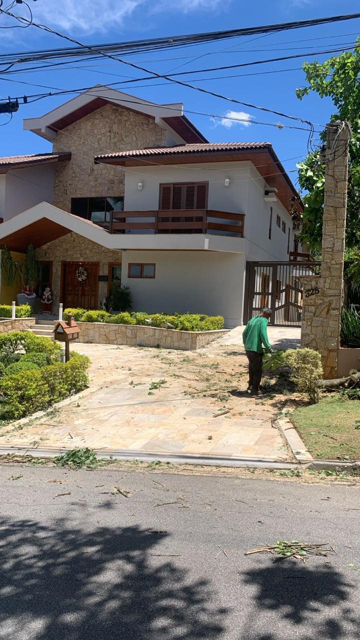Depois — Remoção de árvore caída em residência