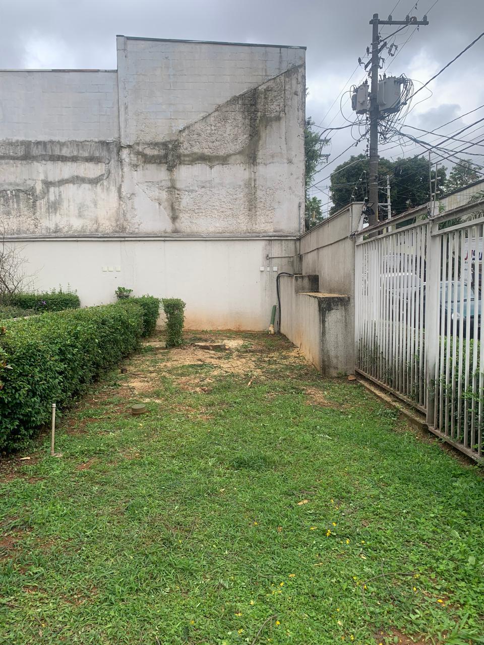 Depois — Poda e remoção técnica de árvore