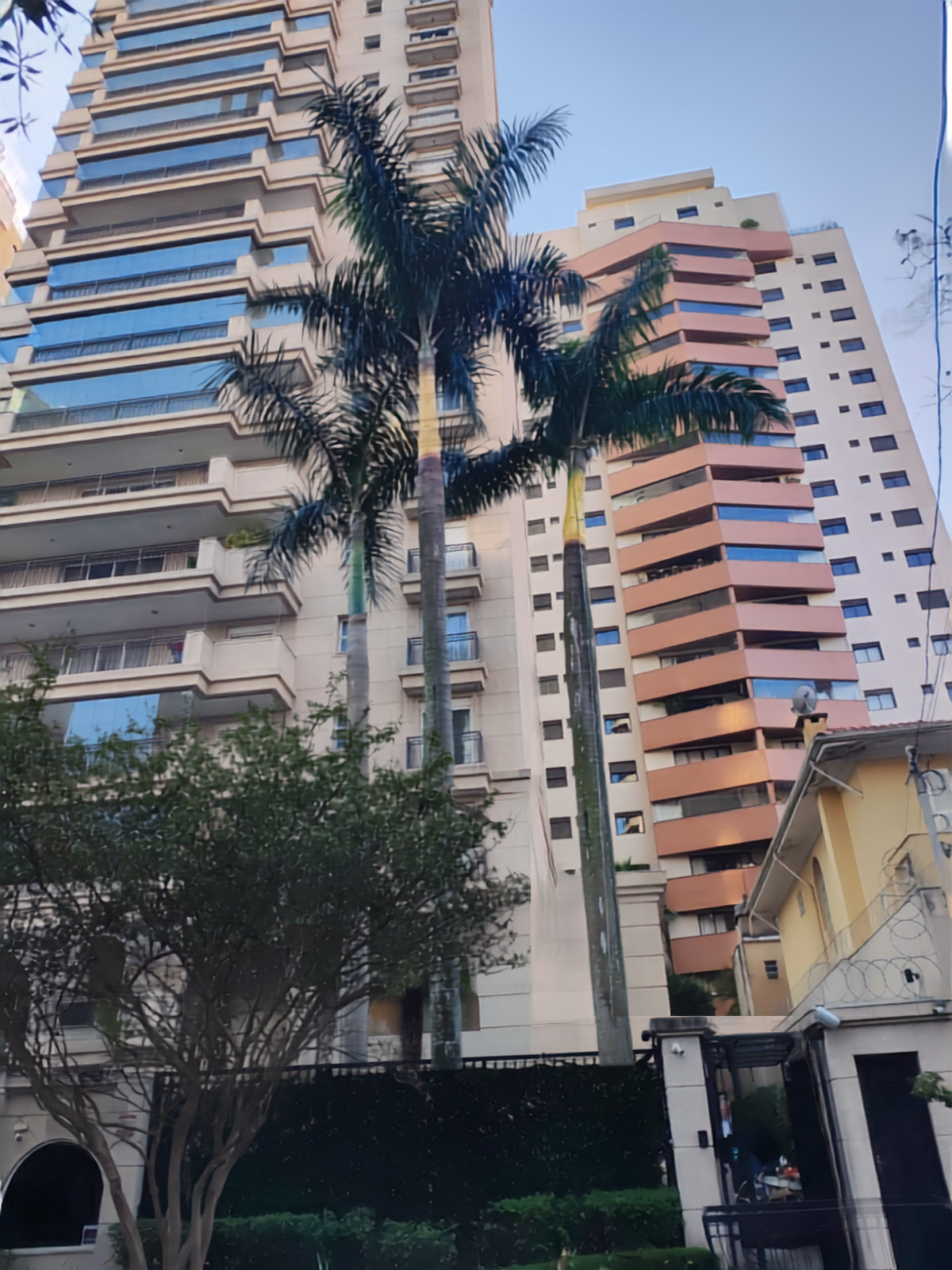 Depois — Poda de palmeiras em prédio de alto padrão
