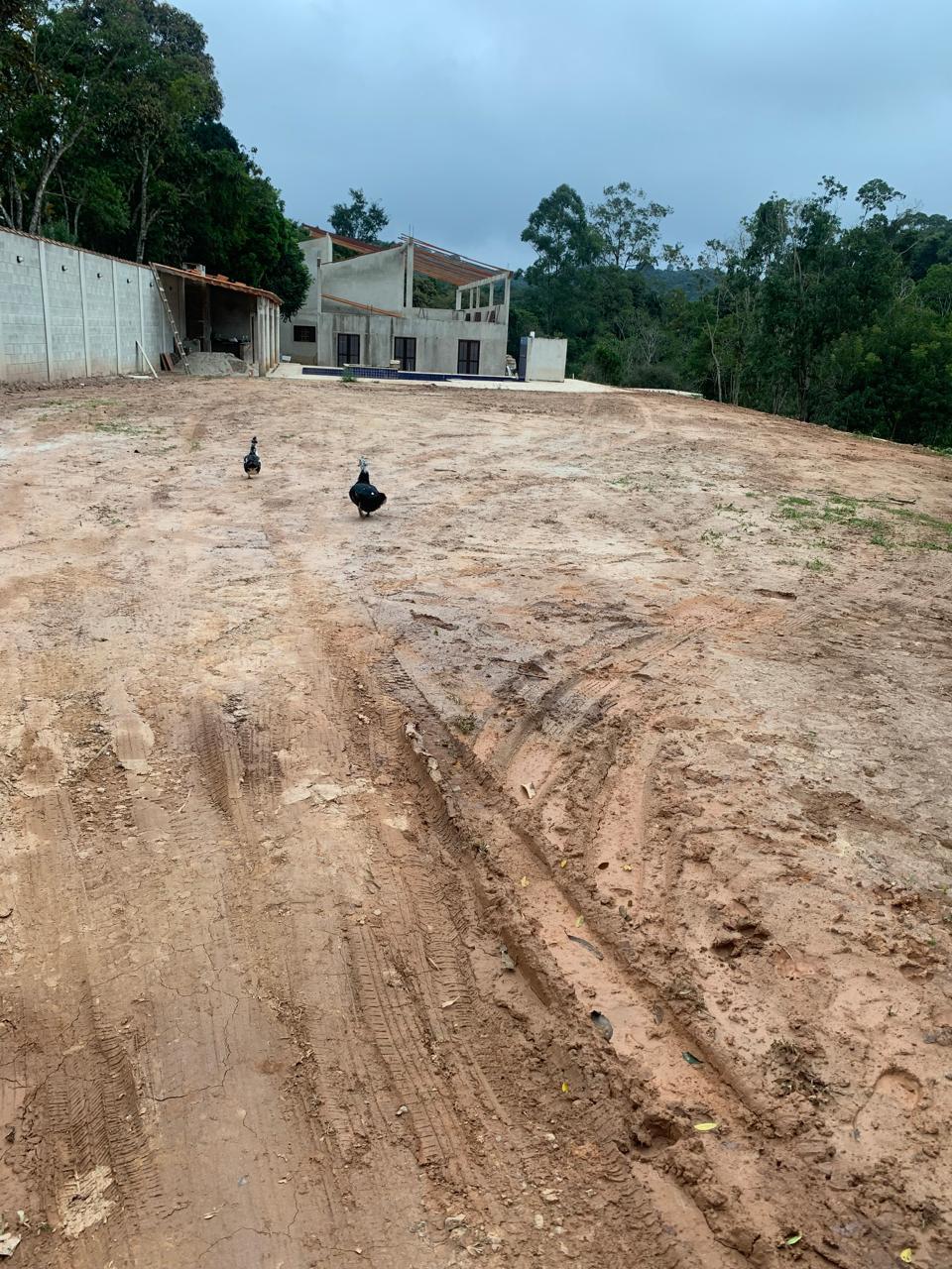 Antes — Terraplenagem e plantio de grama